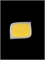 JOPPIESAUS